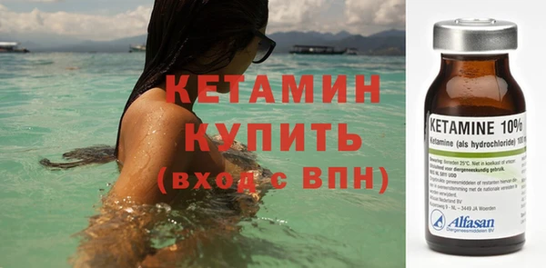 прущие грибы Ачинск