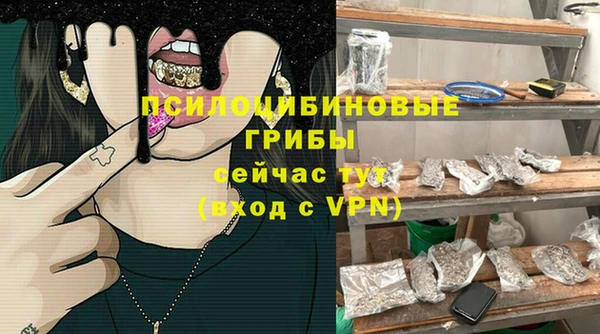 молекула духа Абинск