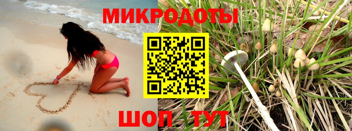 Псилоцибиновые грибы прущие грибы Комсомольск-на-Амуре